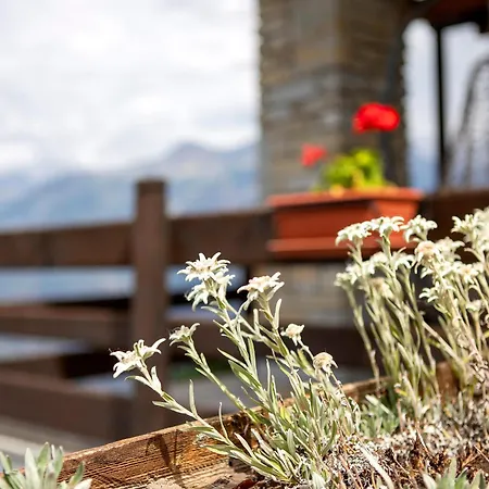 Maison Sylvie Lägenhet Gressan